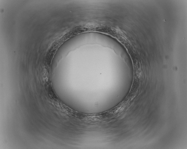 X0000072931253200608111526