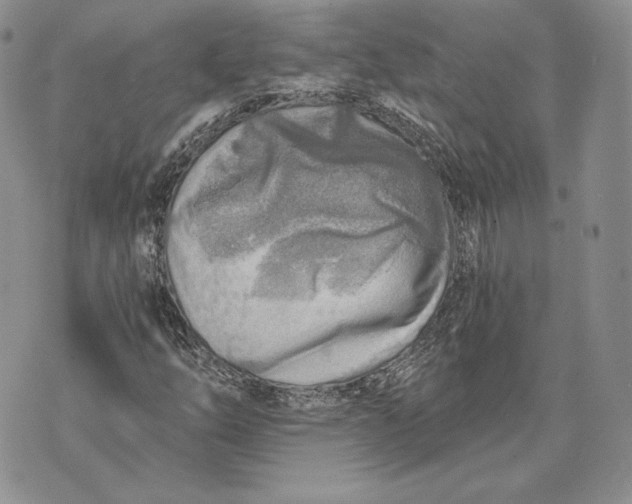 X0000072931254200608111526