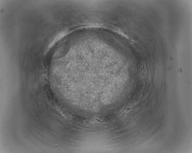 X0000072931255200608111526