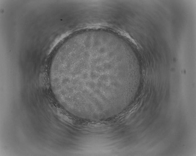 X0000072931256200608111526