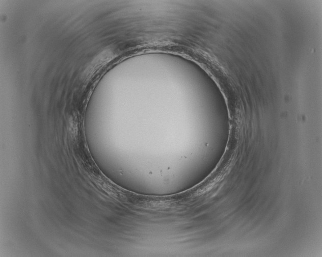 X0000072931257200608111526