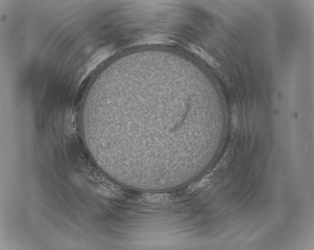 X0000072931258200608111526