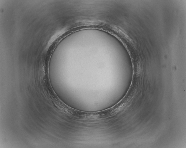 X0000072931261200608111526