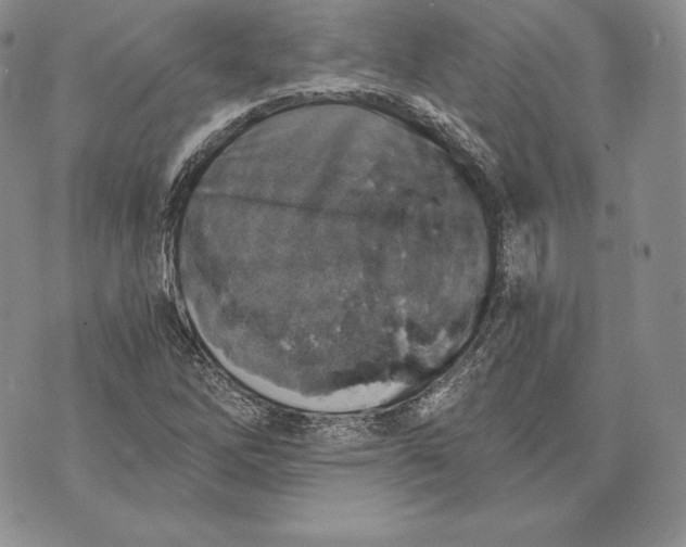 X0000072931262200608111526