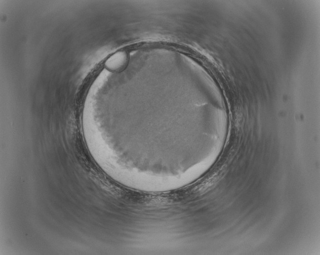 X0000072931263200608111526