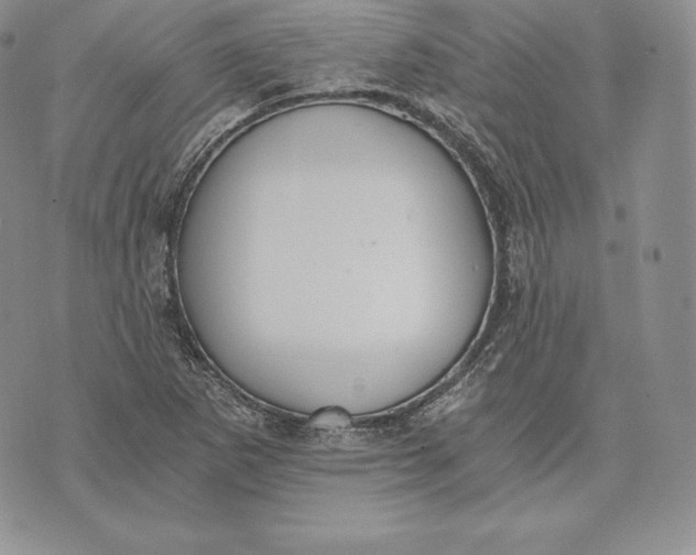 X0000072931265200608111526