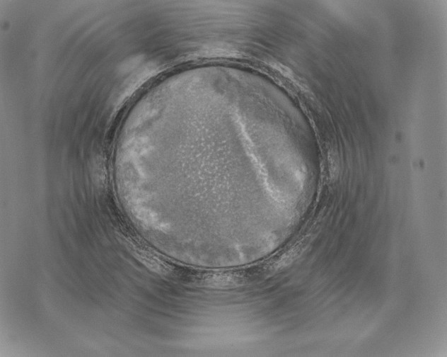 X0000072931266200608111526