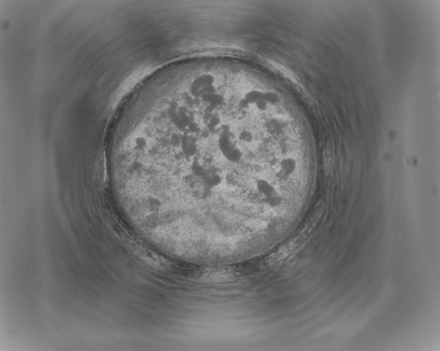 X0000072931267200608111526