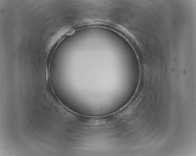 X0000072931269200608111526