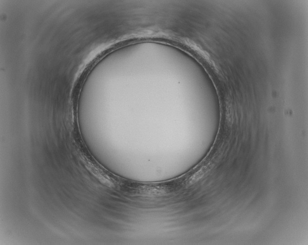 X0000072931270200608111526