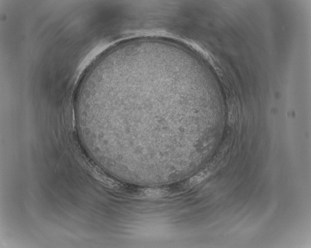 X0000072931271200608111526