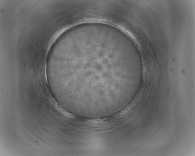 X0000072931272200608111526