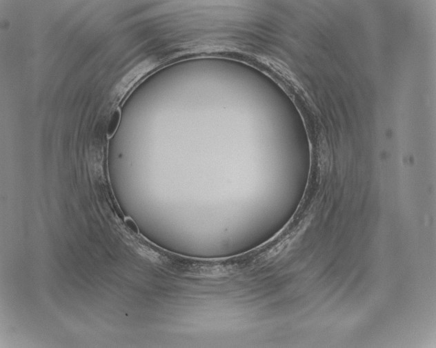 X0000072931273200608111526