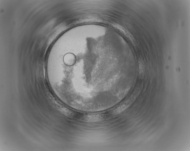 X0000072931274200608111526