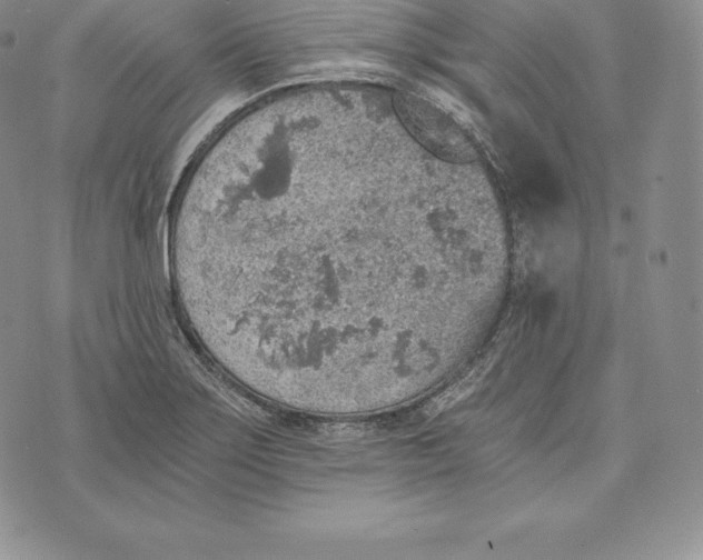 X0000072931275200608111526