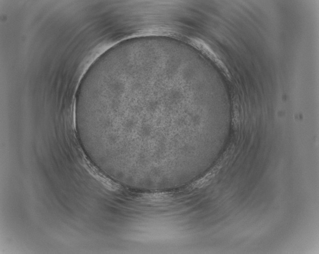 X0000072931276200608111526