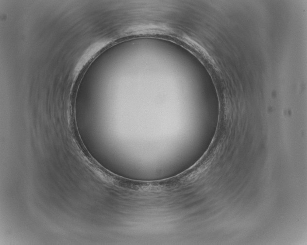 X0000072931277200608111526