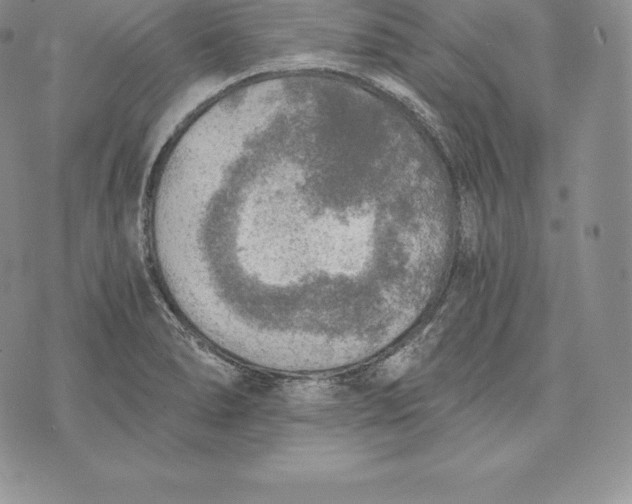 X0000072931278200608111526