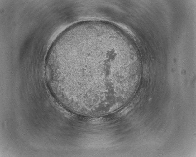 X0000072931279200608111526