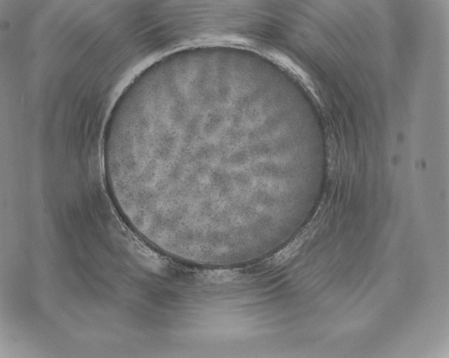 X0000072931280200608111526