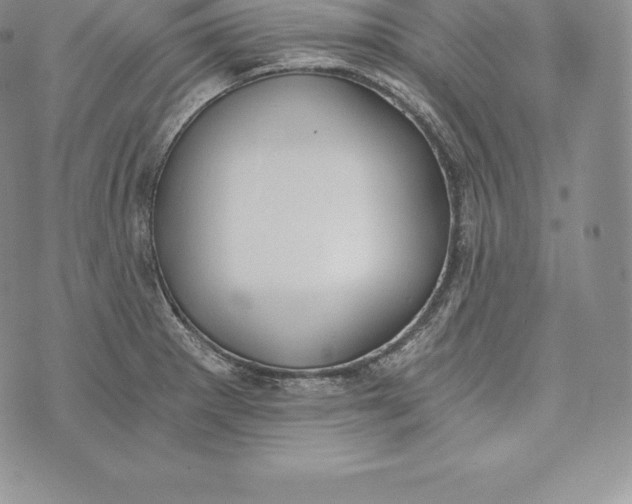 X0000072931281200608111526