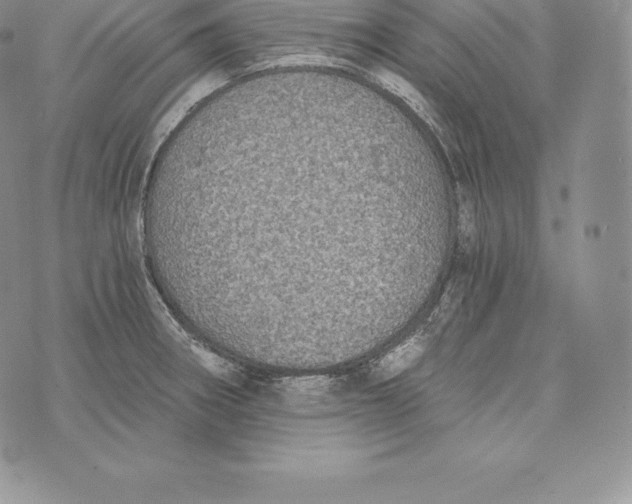 X0000072931282200608111526