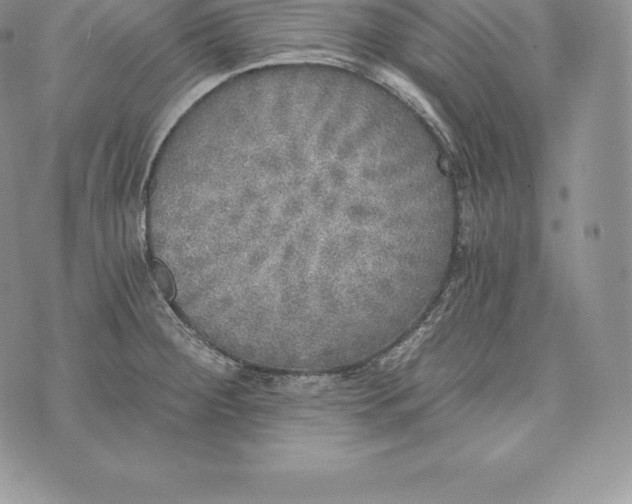 X0000072931284200608111526