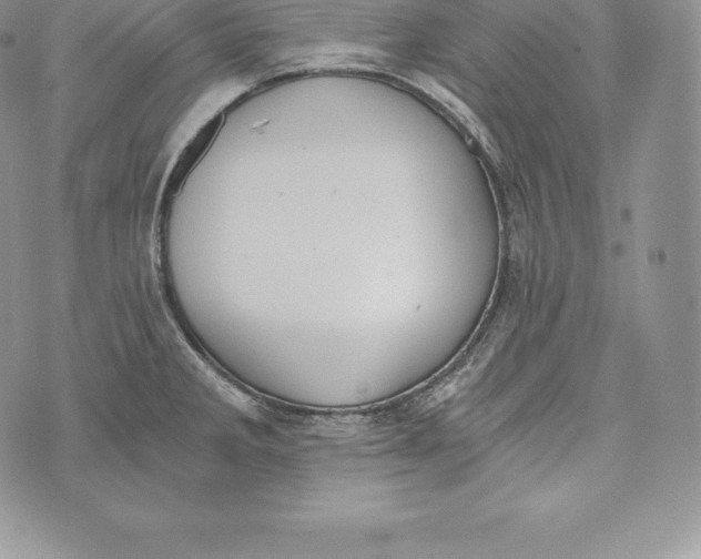 X0000072931285200608111526