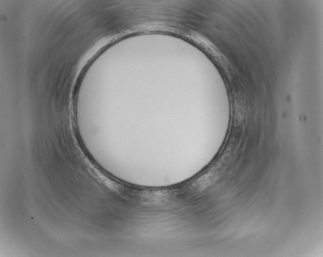 X0000072931286200608111526