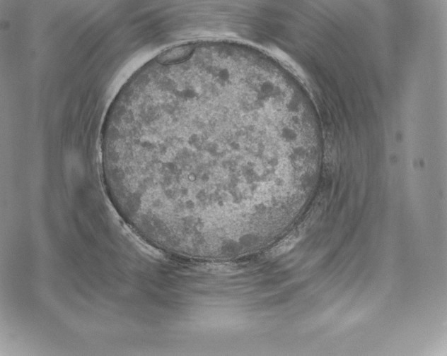 X0000072931287200608111526