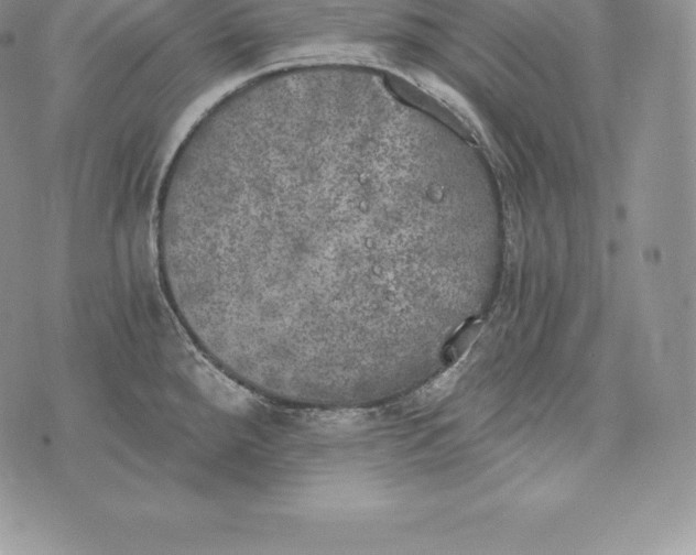 X0000072931288200608111526