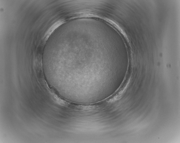 X0000072931289200608111526