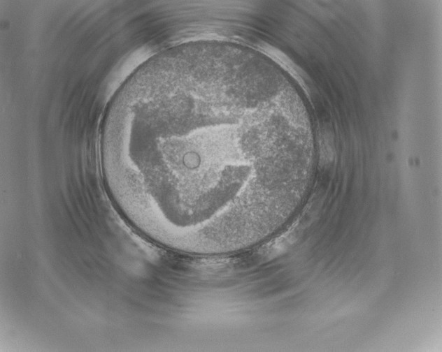 X0000072931290200608111526