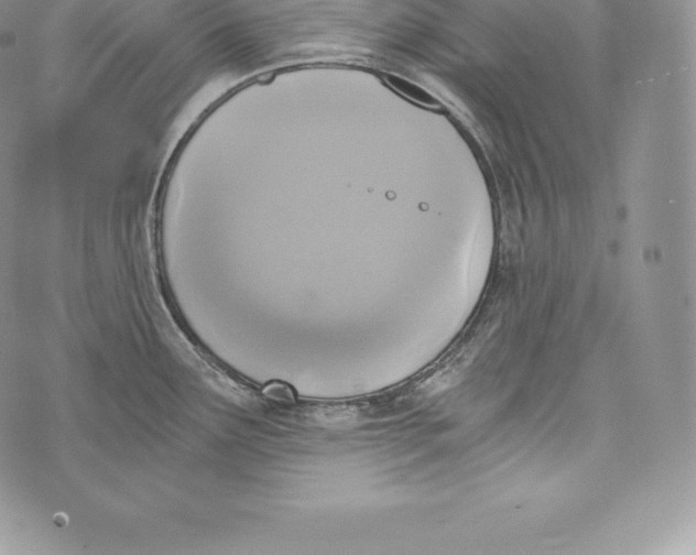 X0000072931291200608111526