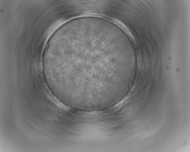 X0000072931292200608111526