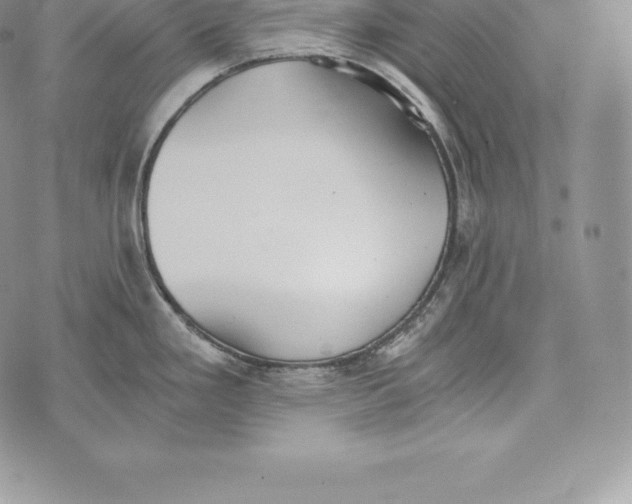 X0000072931293200608111526