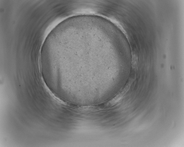 X0000072931295200608111526