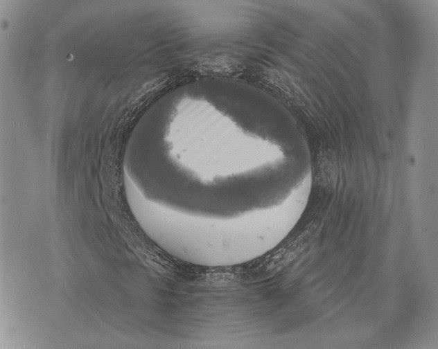 X0000072931297200608111525