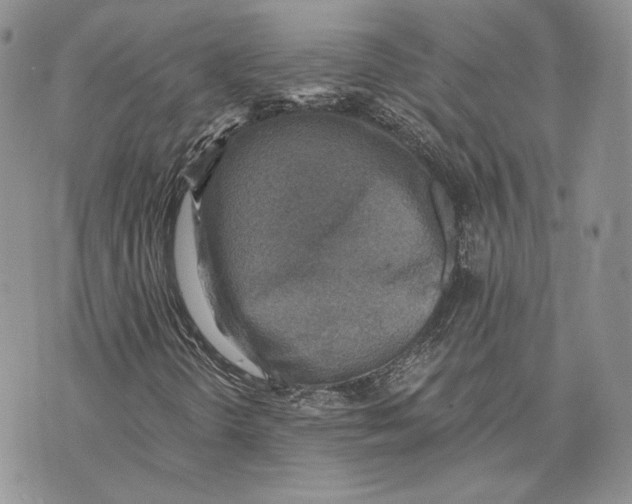 X0000072931298200608111525