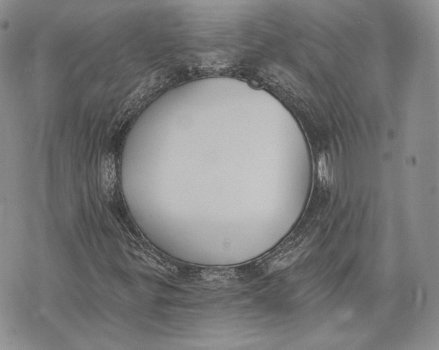 X0000072931299200608111525