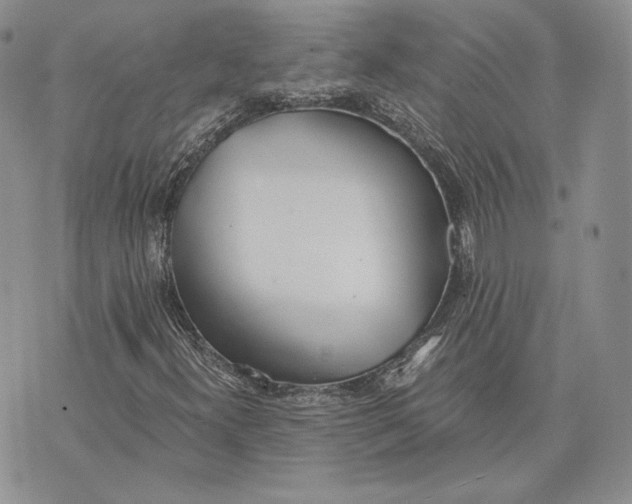 X0000072931300200608111525