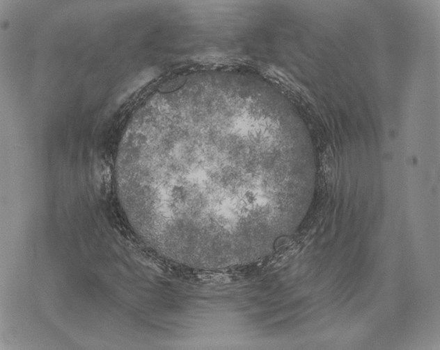 X0000072931302200608111525