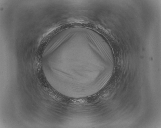 X0000072931303200608111525