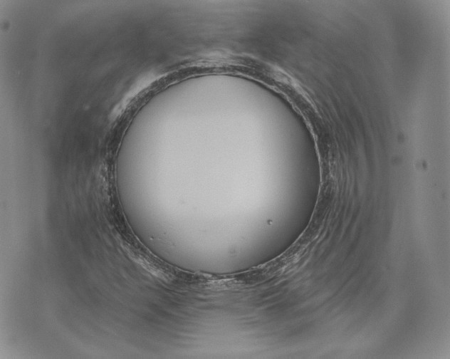 X0000072931304200608111525