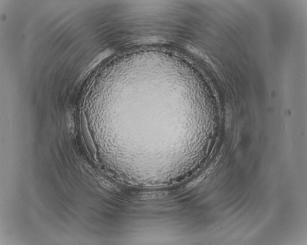 X0000072931305200608111525