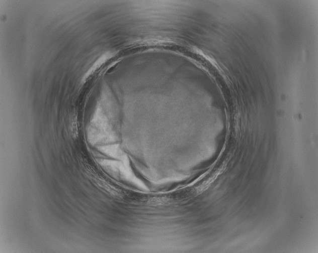 X0000072931306200608111525