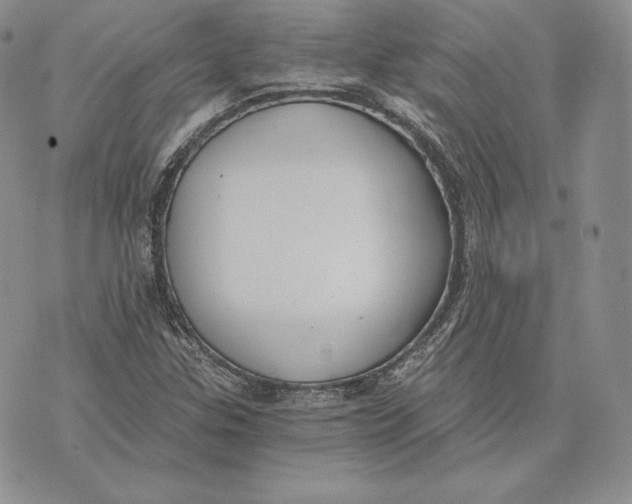 X0000072931307200608111525