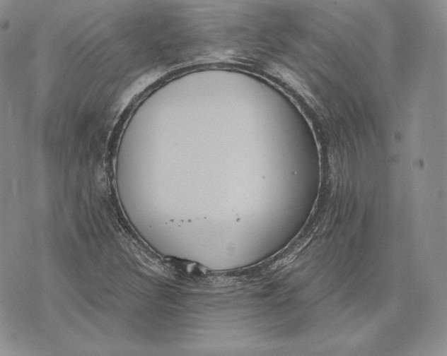 X0000072931308200608111525