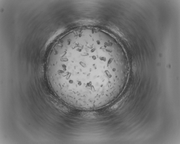 X0000072931309200608111525