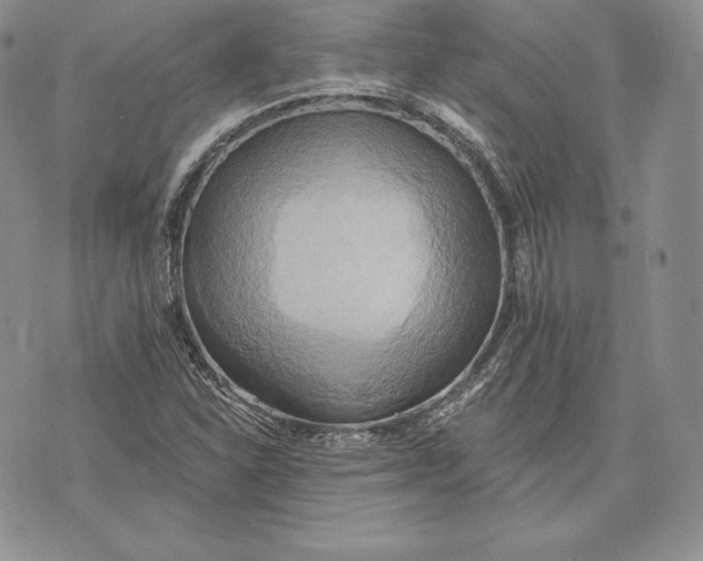 X0000072931310200608111525